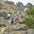 _DSC8687.JPG