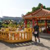 DSC_1649L.jpg