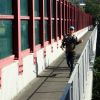 PC310054.JPG